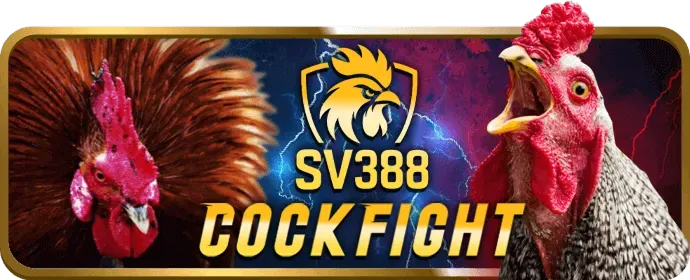 Chương trình VIP độc quyền AV88